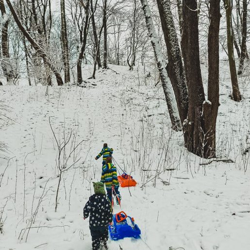 Drei Kinder mit Schlitten im Schnee